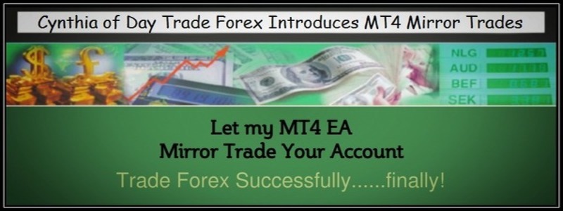 Mirror trading forex