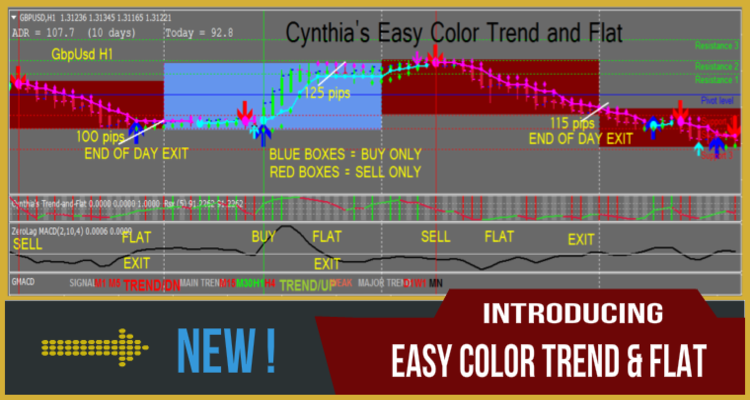 Cynthias Easy Color Trend and Flat